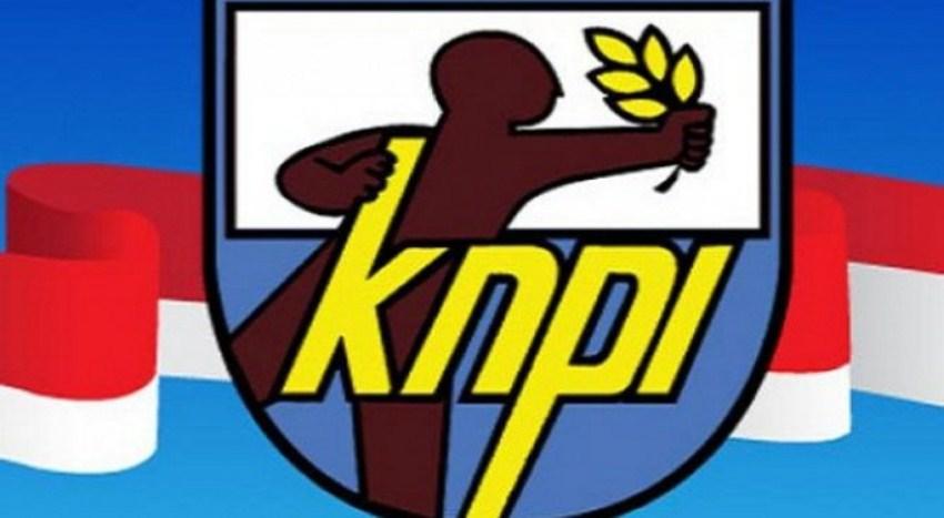 49Logo KNPI (ist).jpg